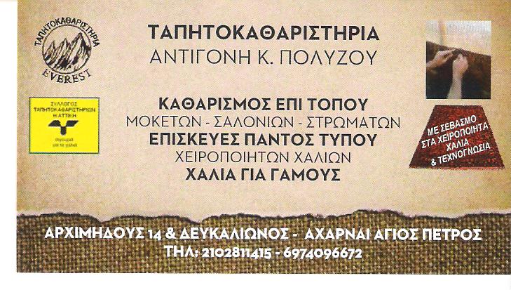 ΤΑΠΗΤΟΚΑΘΑΡΙΣΤΗΡΙΟ ΜΕΤΑΜΟΡΦΩΣΗ - ΚΑΘΑΡΙΣΜΟΣ ΚΑΙ ΦΥΛΑΞΗ ΧΑΛΙΩΝ ΜΕΤΑΜΟΡΦΩΣΗ - ΠΟΛΥΖΟΥ ΑΝΤΙΓΟΝΗ