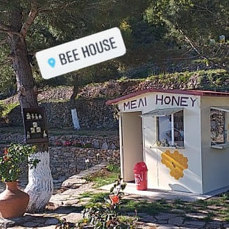 BEE HOUSE - ΜΕΛΙΣΣΟΚΟΜΙΚΑ ΠΡΟΪΟΝΤΑ ΣΑΜΟΣ - ΠΑΡΑΔΟΣΙΑΚΑ ΤΟΠΙΚΑ ΠΡΟΪΟΝΤΑ ΣΑΜΟΣ - ΒΙΟΛΟΓΙΚΑ ΠΡΟΪΟΝΤΑ