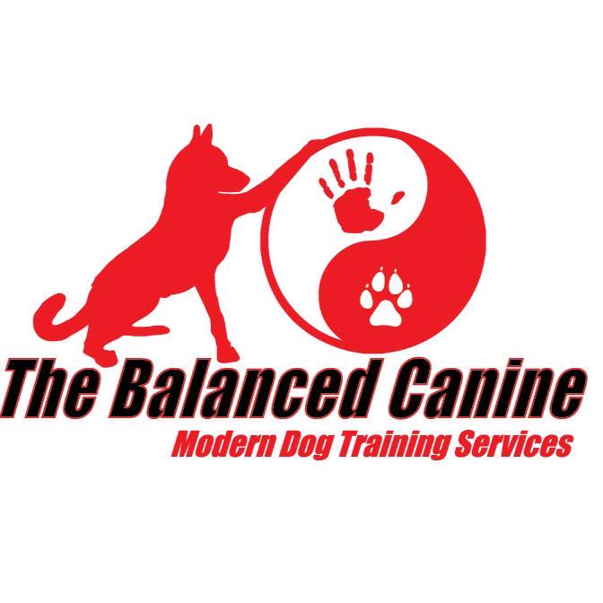 THE BALANCED CANINE - ΕΚΠΑΙΔΕΥΤΕΣ ΣΚΥΛΩΝ ΚΑΛΥΒΙΑ ΑΤΤΙΚΗ - ΕΚΠΑΙΔΕΥΤΗΡΙΟ ΣΚΥΛΩΝ - ΕΚΠΑΙΔΕΥΣΗ ΣΚΥΛΩΝ